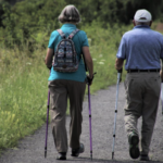 Figură 1Imaginea creata de autor