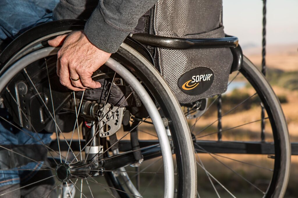 Caz de handicap (Sursa: Image by Steve Buissinne from Pixabay)